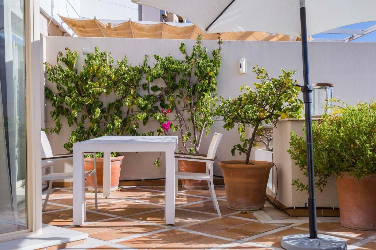 Molo Residences Boutique Apartments & Spa マルベーリャ エクステリア 写真